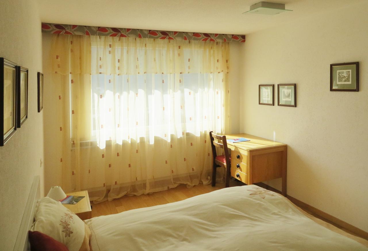Holiday Accommodation - Swimming Pool Available ダヴォス・プラッツ エクステリア 写真